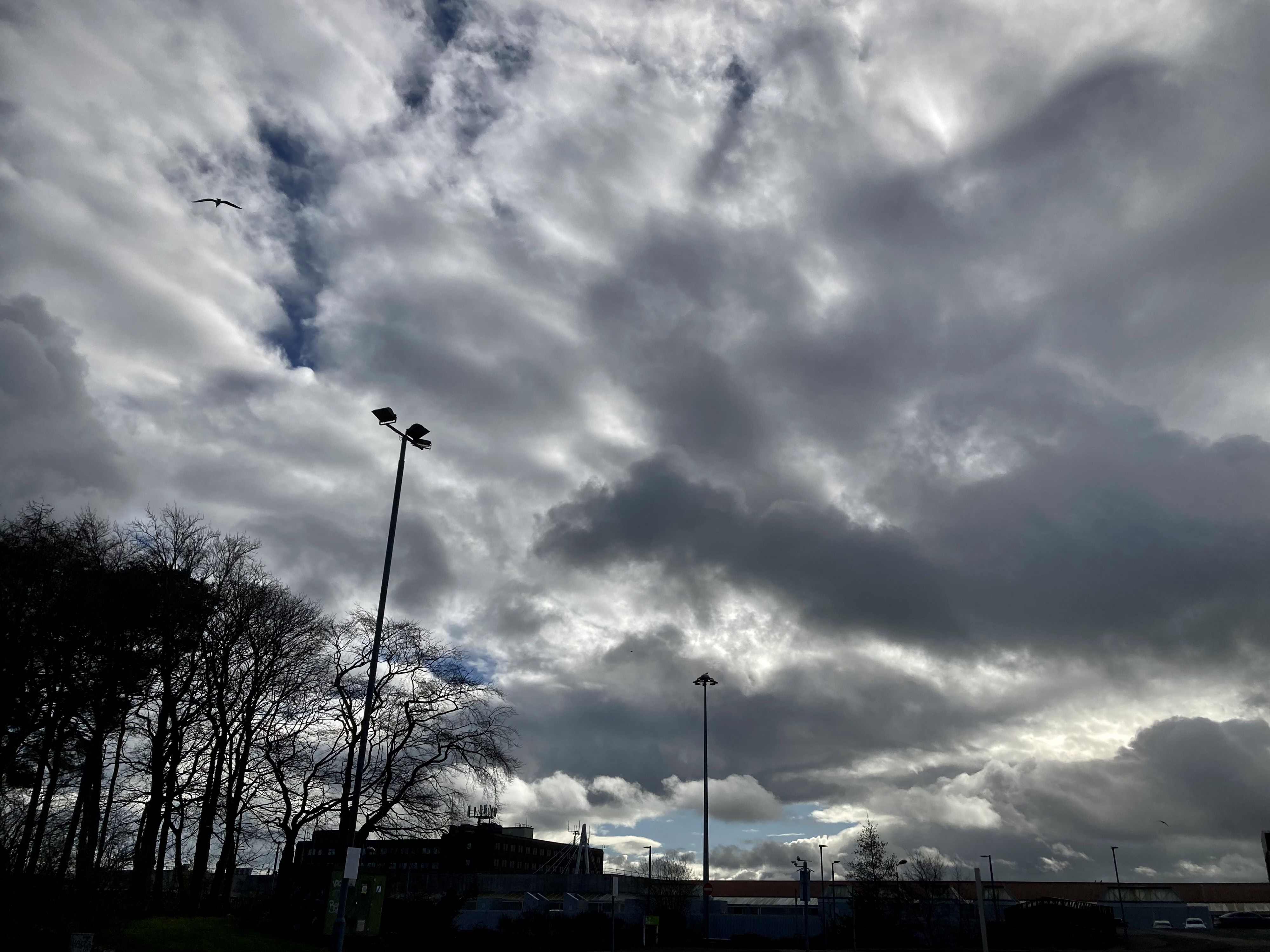 A Cloudy Start — Weekend Sky #123
