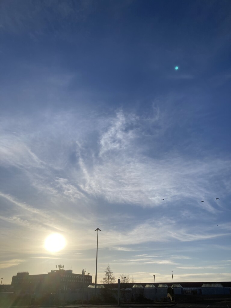 Early Skies