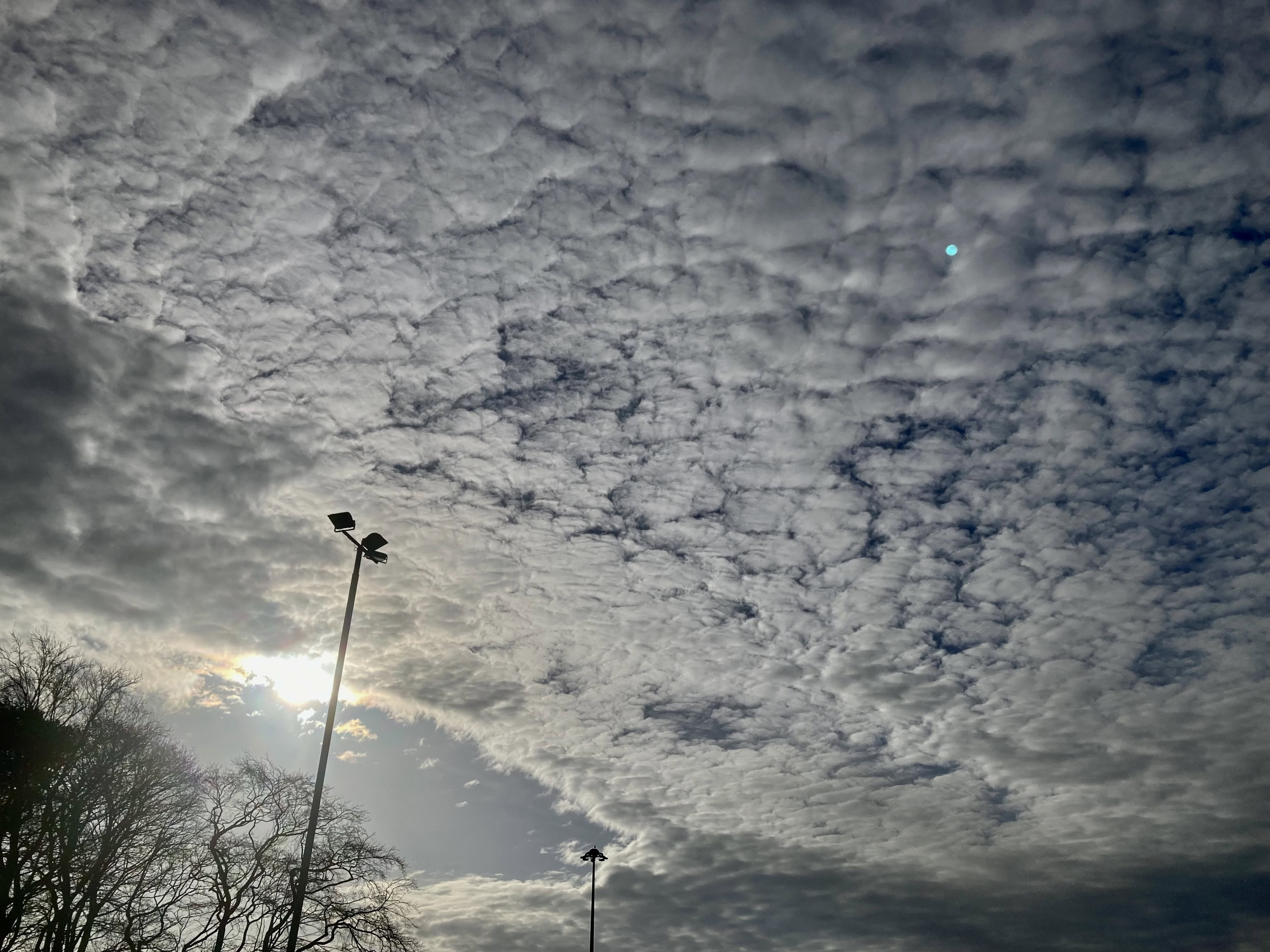 Plenty of AltoCu — Weekend Sky #125