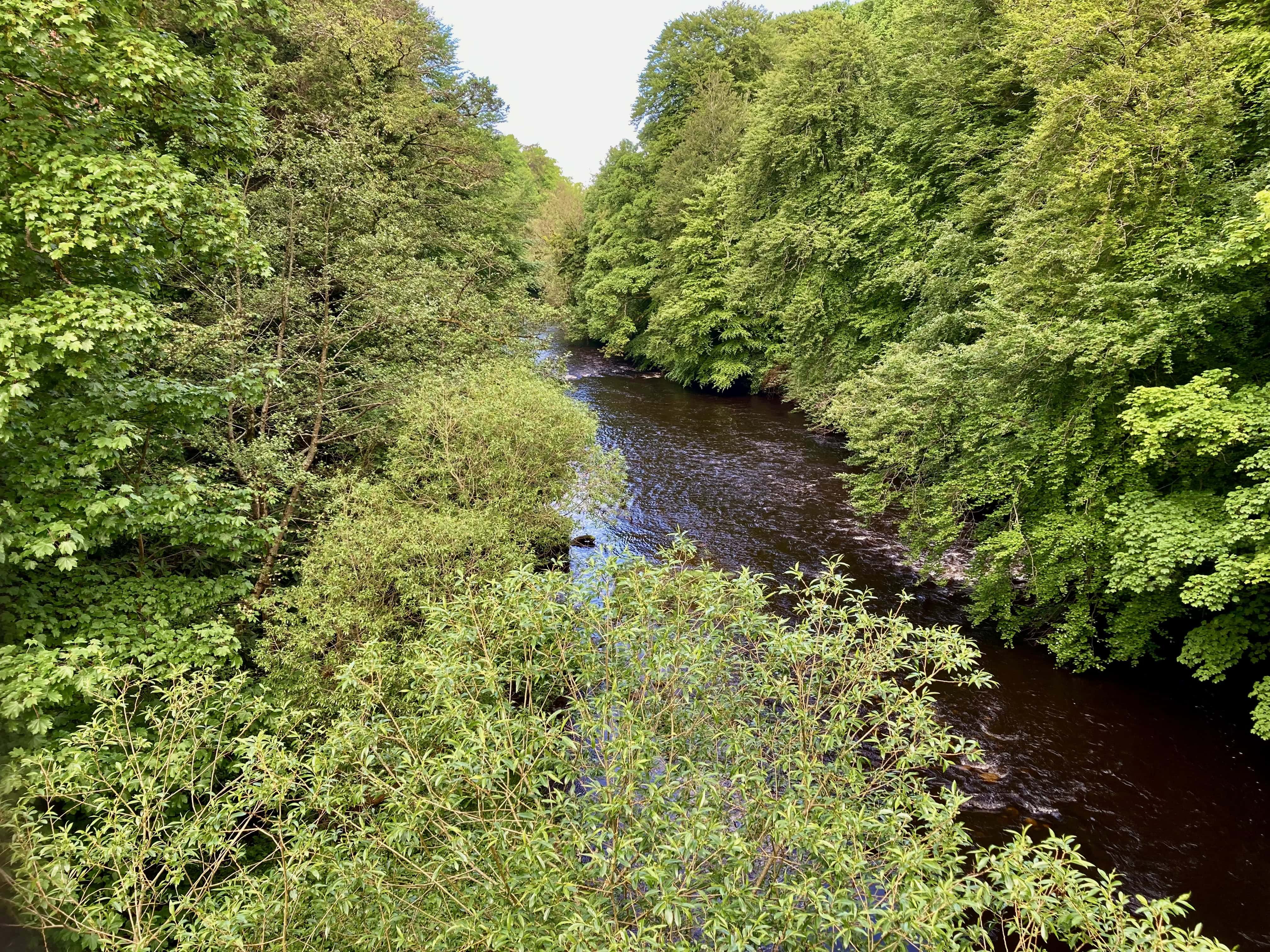 Rabbie Burns’ River Doon: Water Water Everywhere Challenge #225