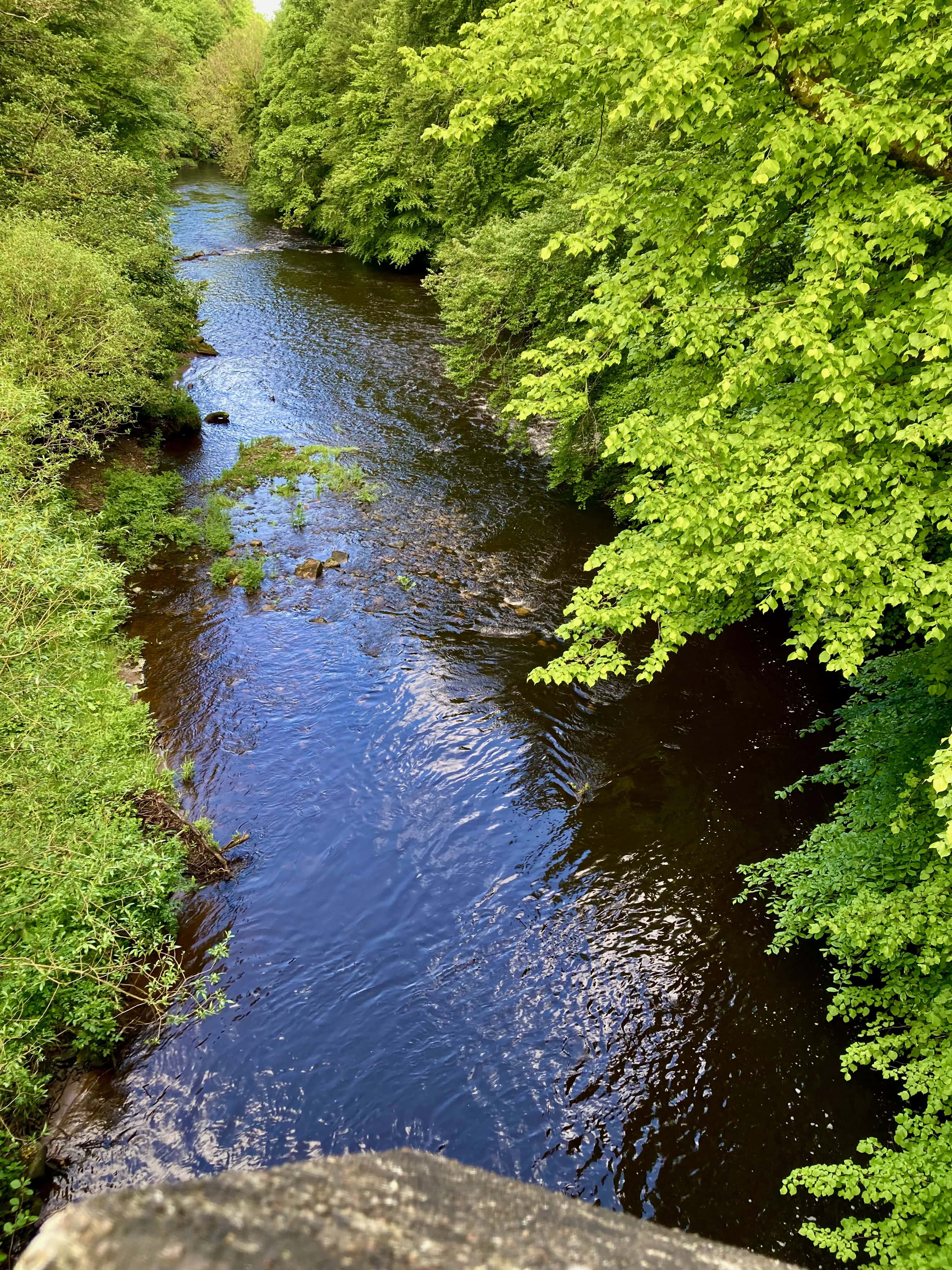 Rabbie Burns’ River Doon: Water Water Everywhere Challenge #227