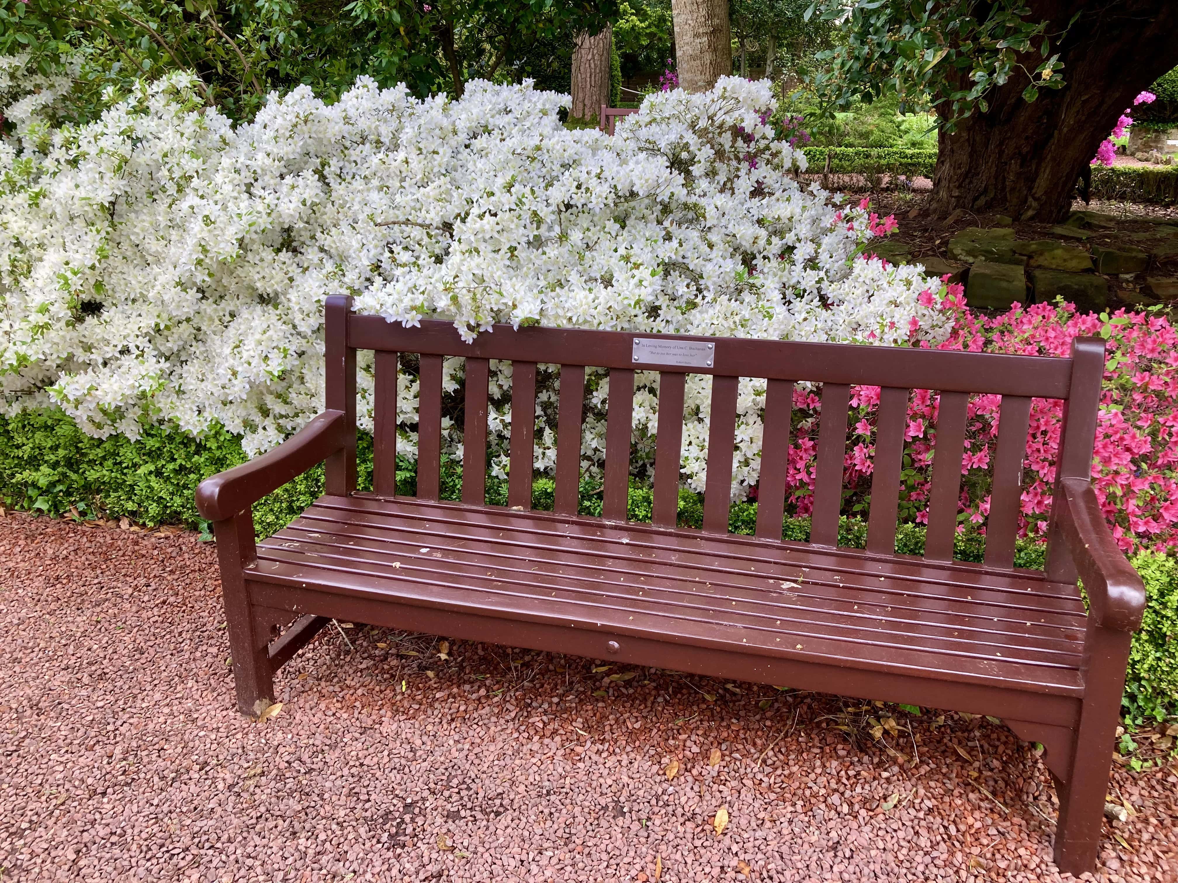 Next to the Azaleas– Pull Up a Seat Wk #26
