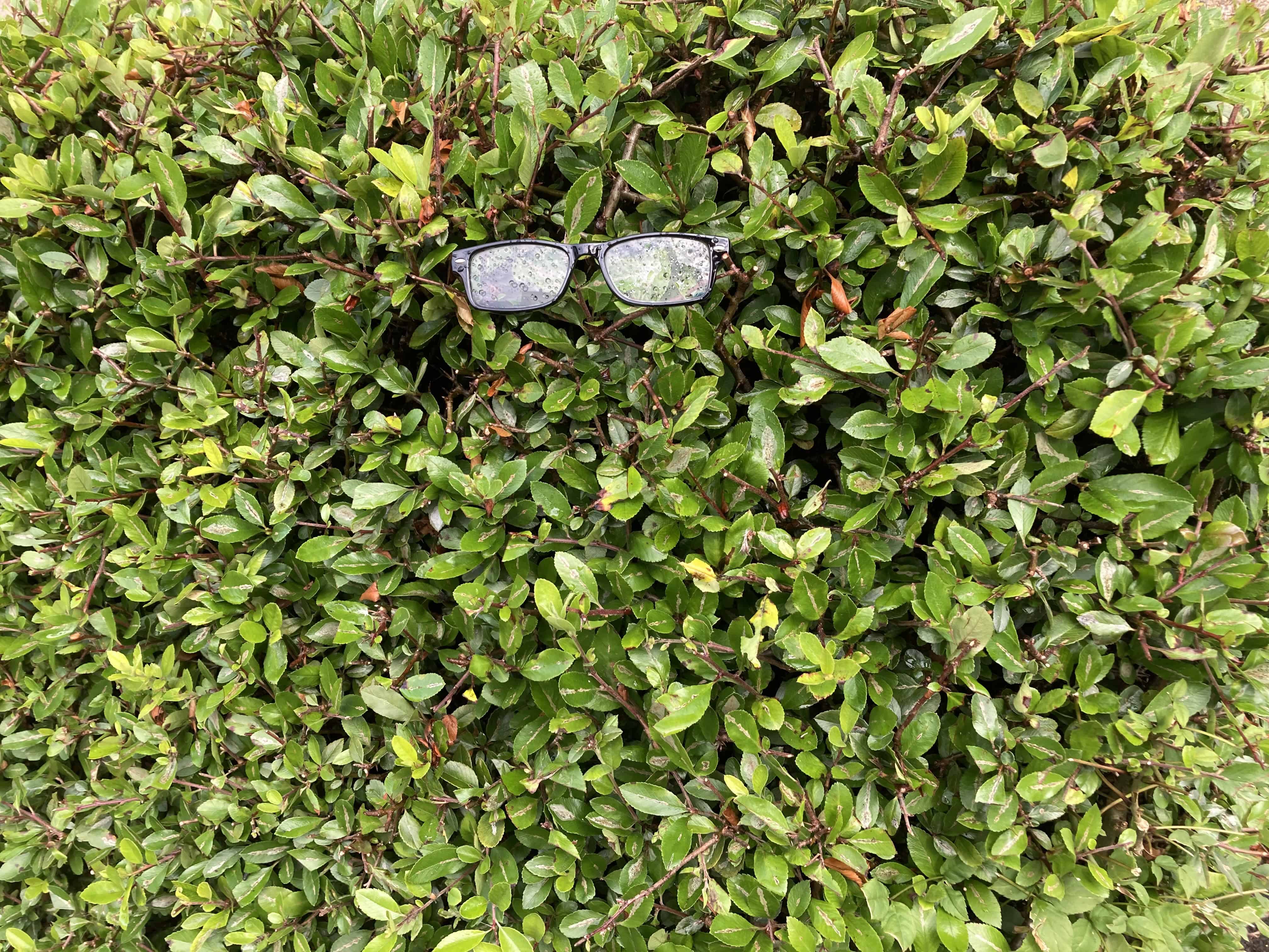 Invisible Man — Monday Portrait Jul 22