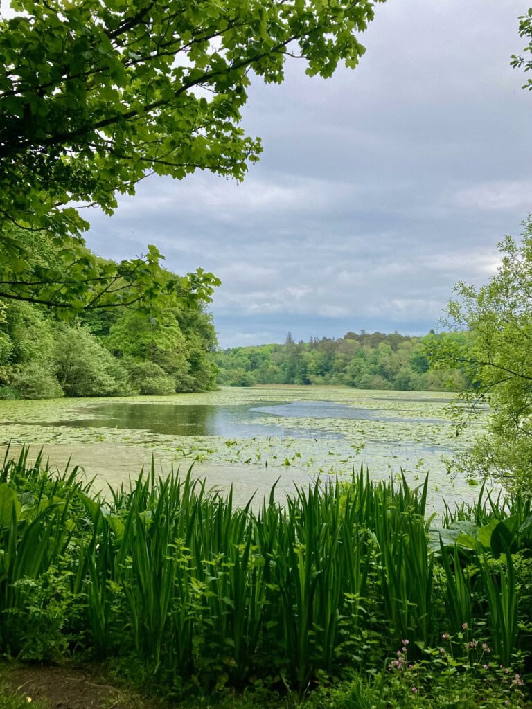 Swan Pond, Culzean Country Park