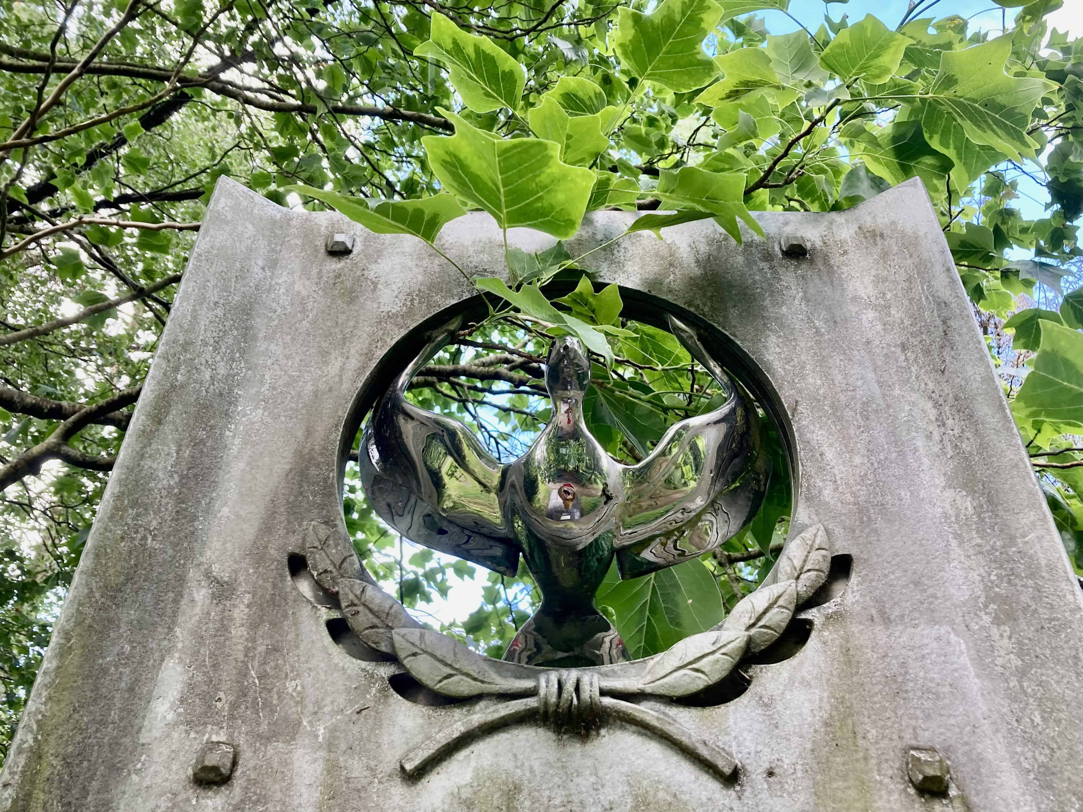 Silent Sunday Sep 01