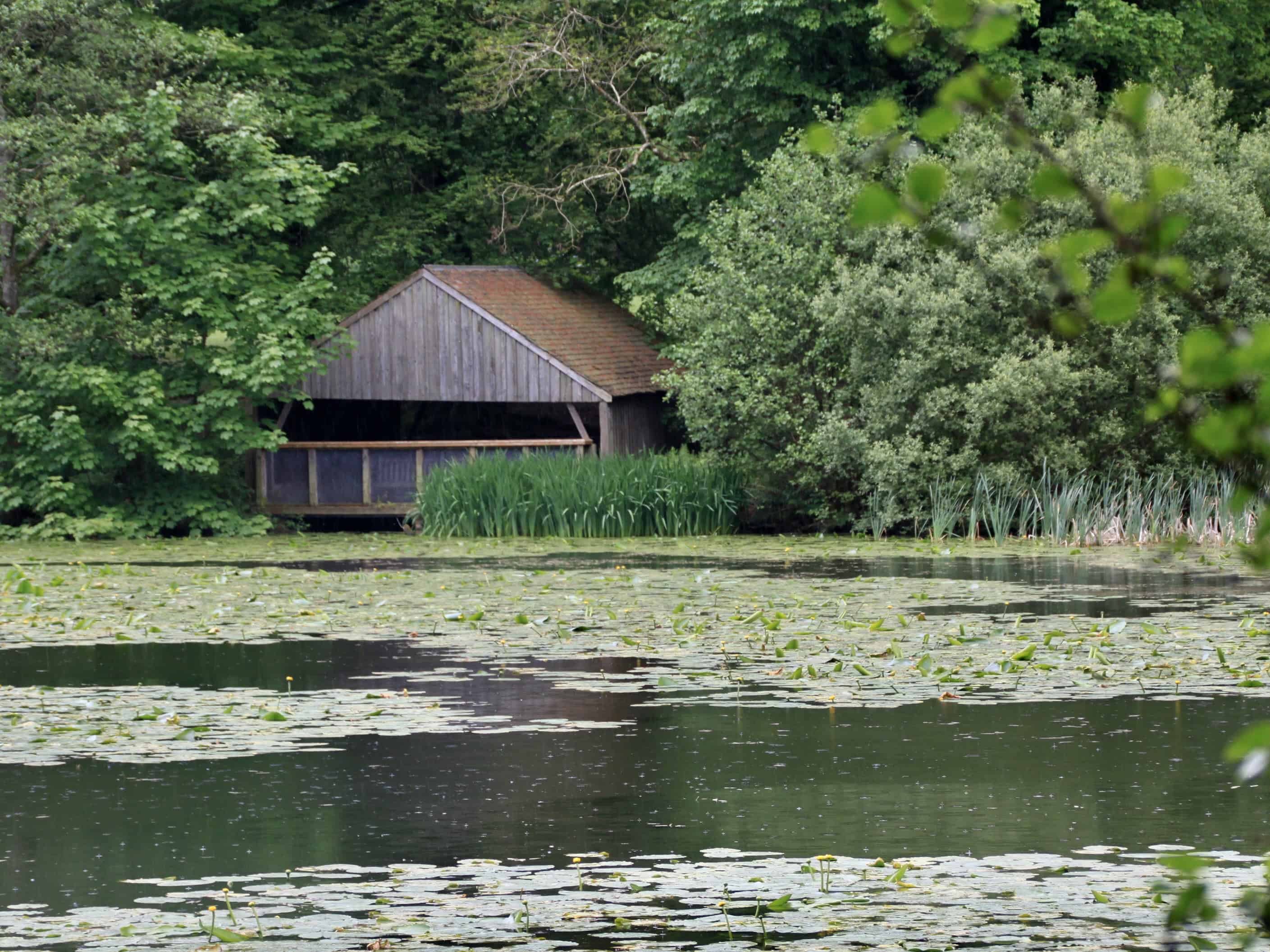 Boathouse On Swan Pond — Water Water Everywhere #236