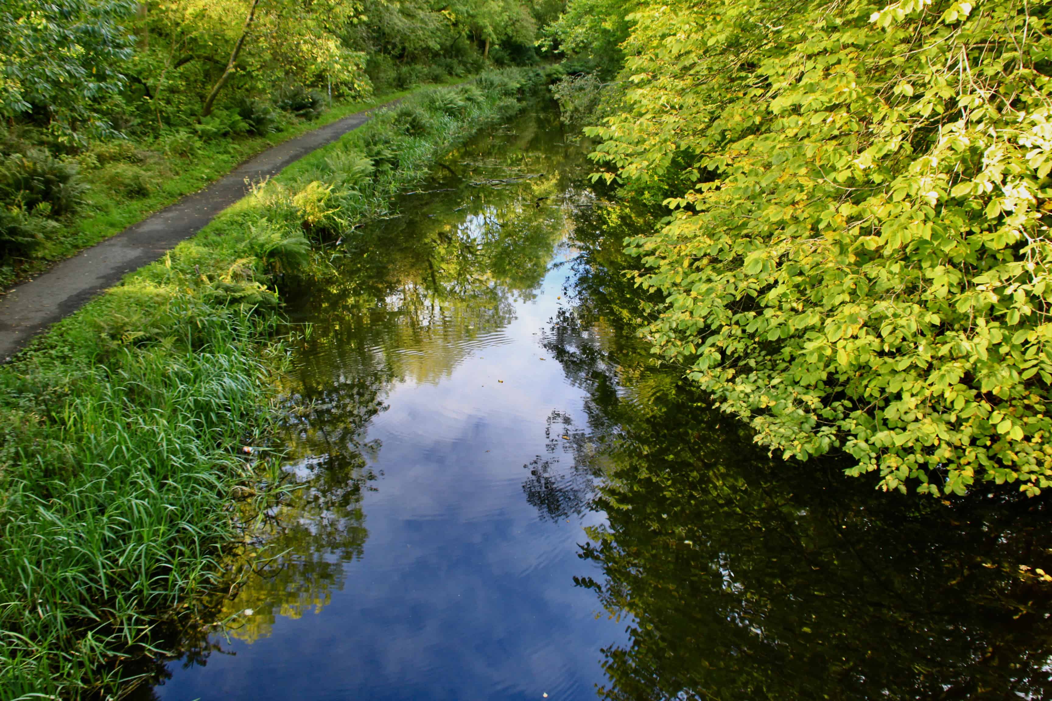 Monkland Canal #3– Water Water Everywhere #241