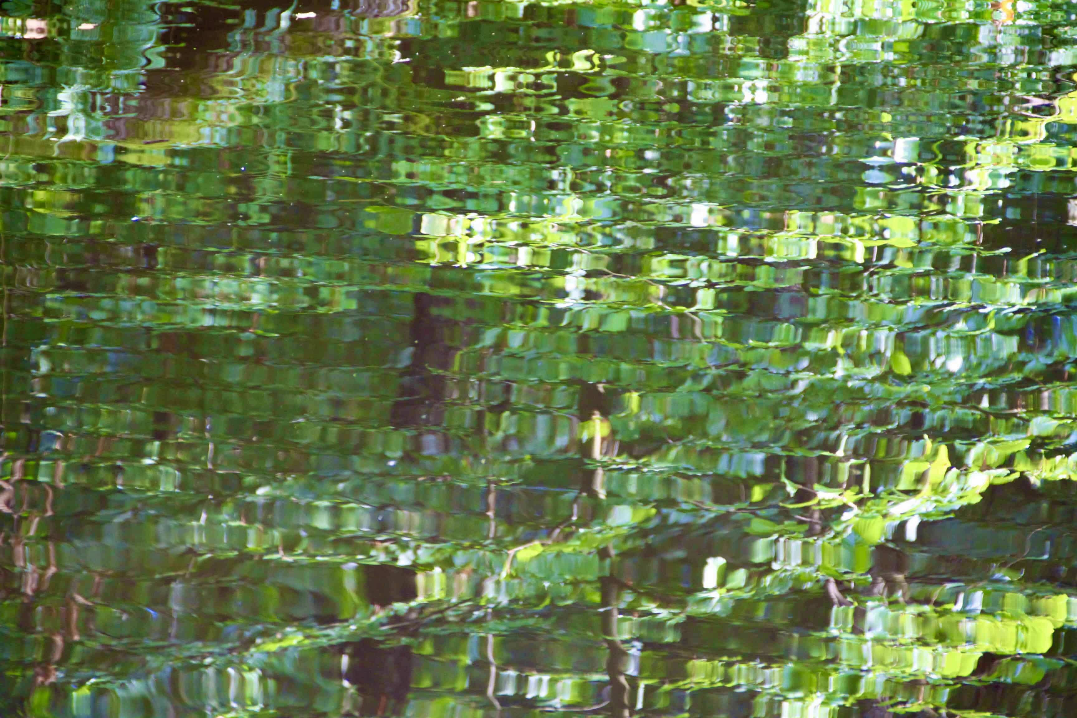 Natural Pixelation — Water Water Everywhere #238