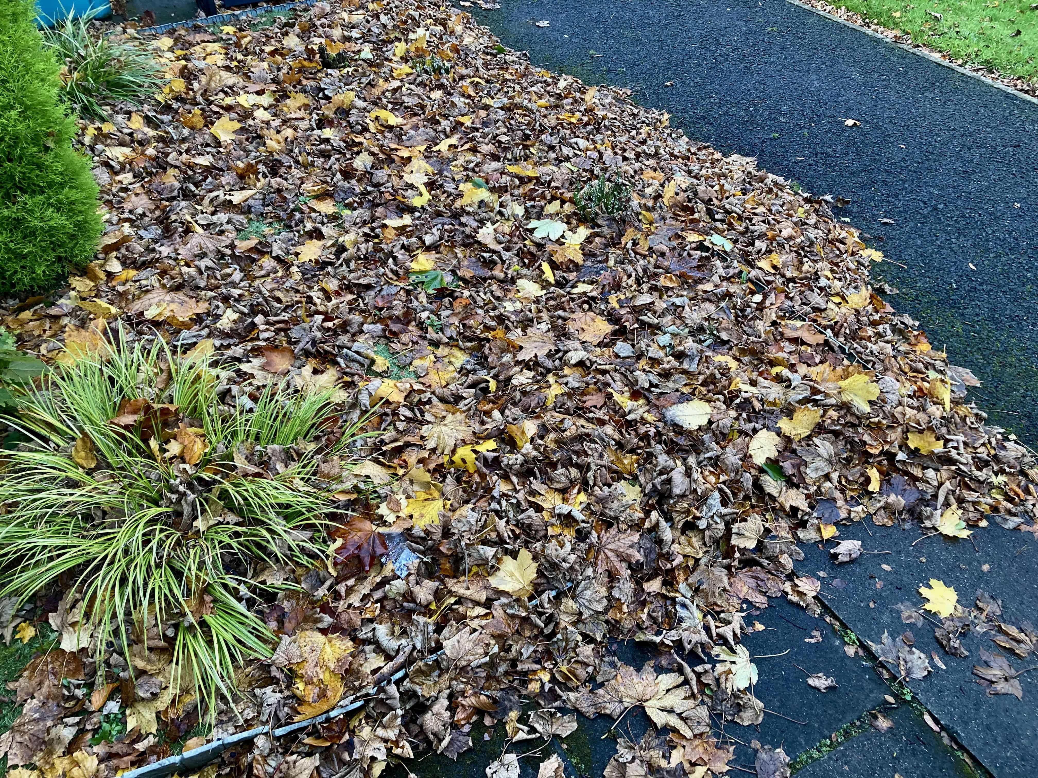 It Was Very Windy Last Night