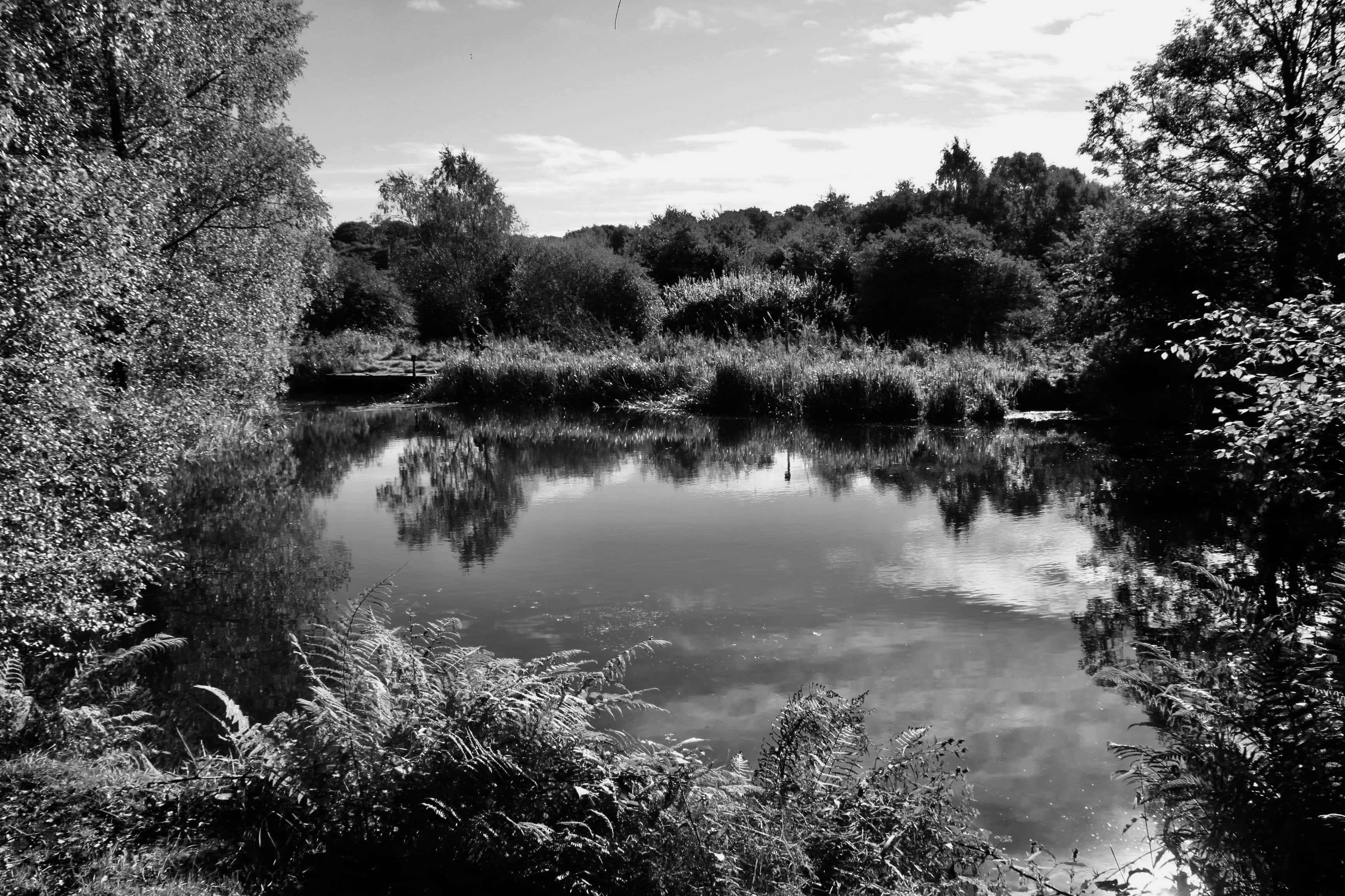 Canal Reflections — Monochrome Madness