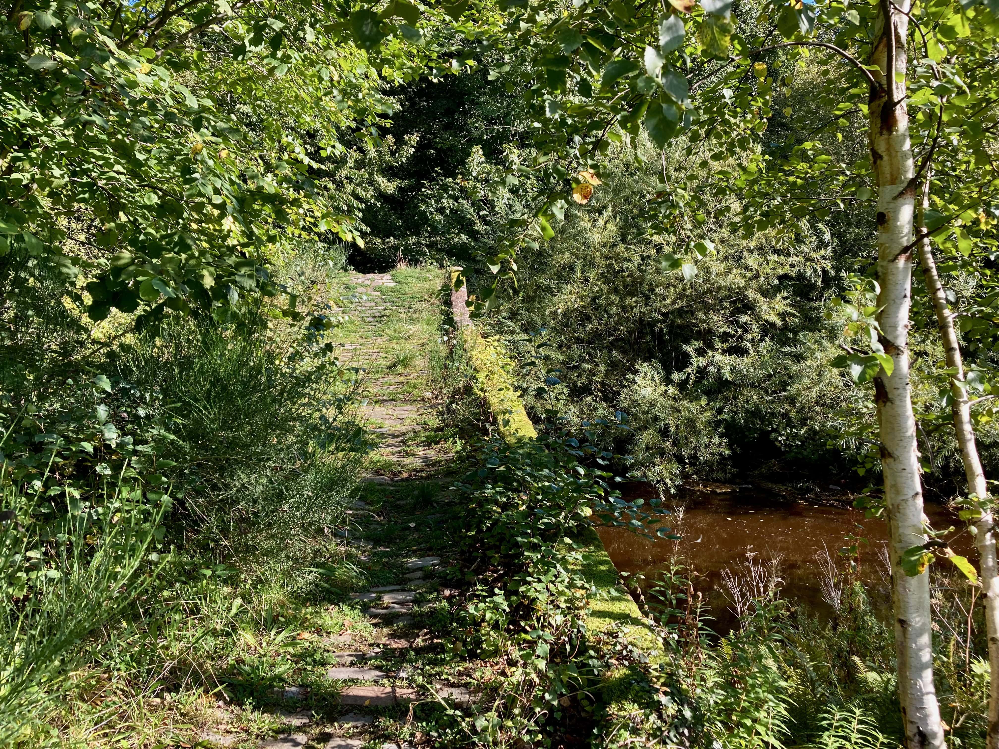 Roman Bridge — Water Water Everywhere #244