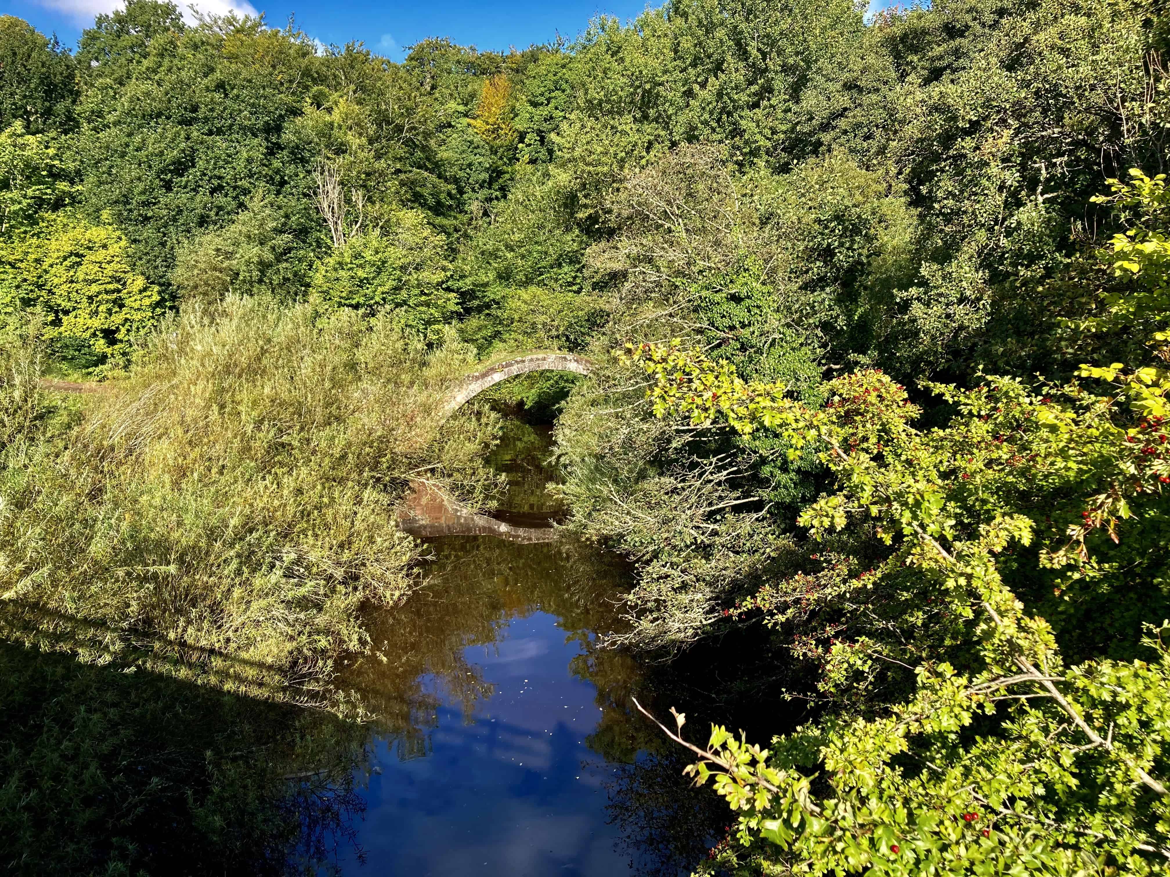 Roman Bridge — Water Water Everywhere #245