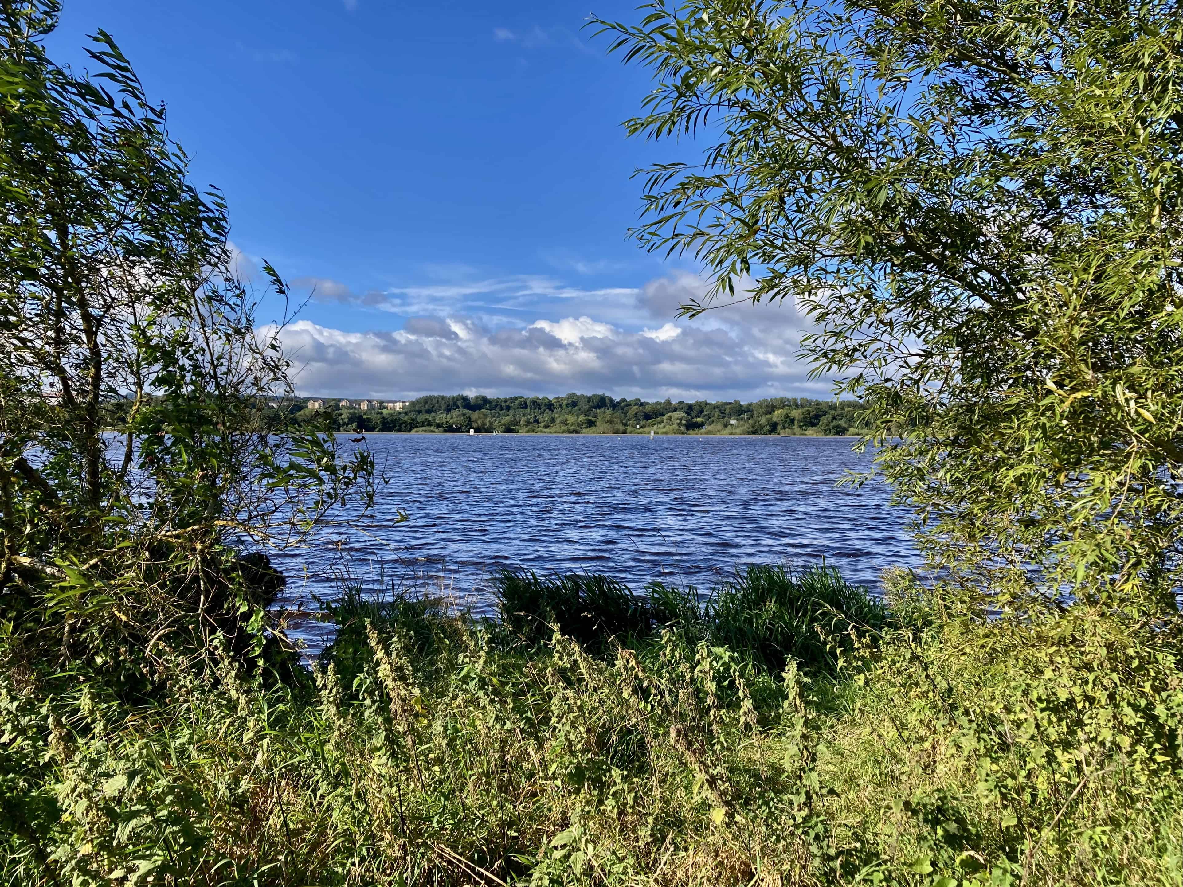 A Peaceful View — Pull Up A Seat Week 40 & Silent Sunday