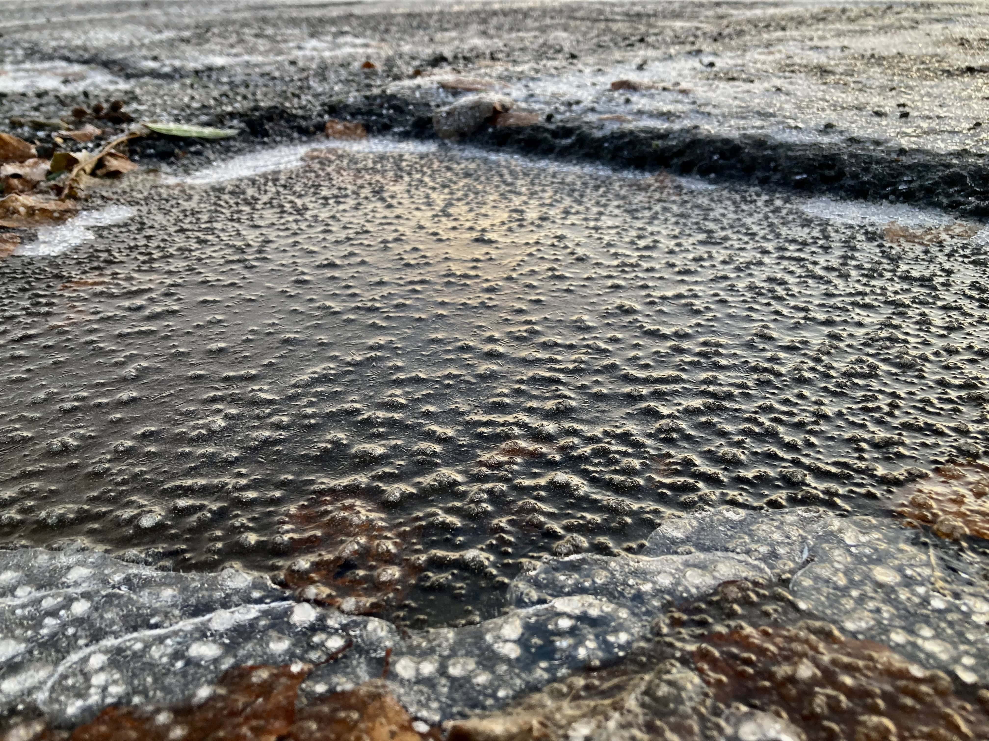 Icy Puddle — Water Water Everywhere #259
