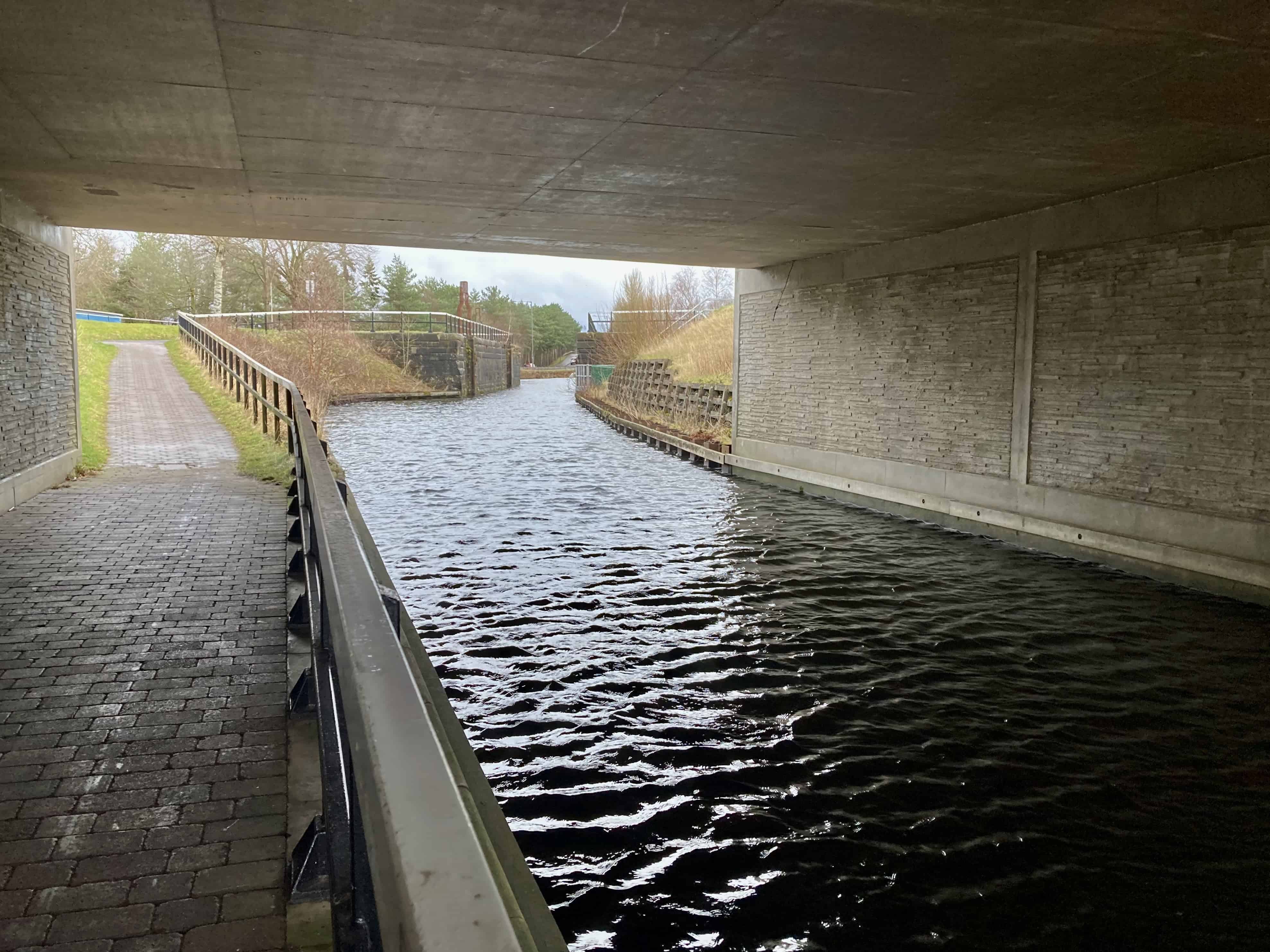 Forth & Clyde Canal — Water Water Everywhere #262