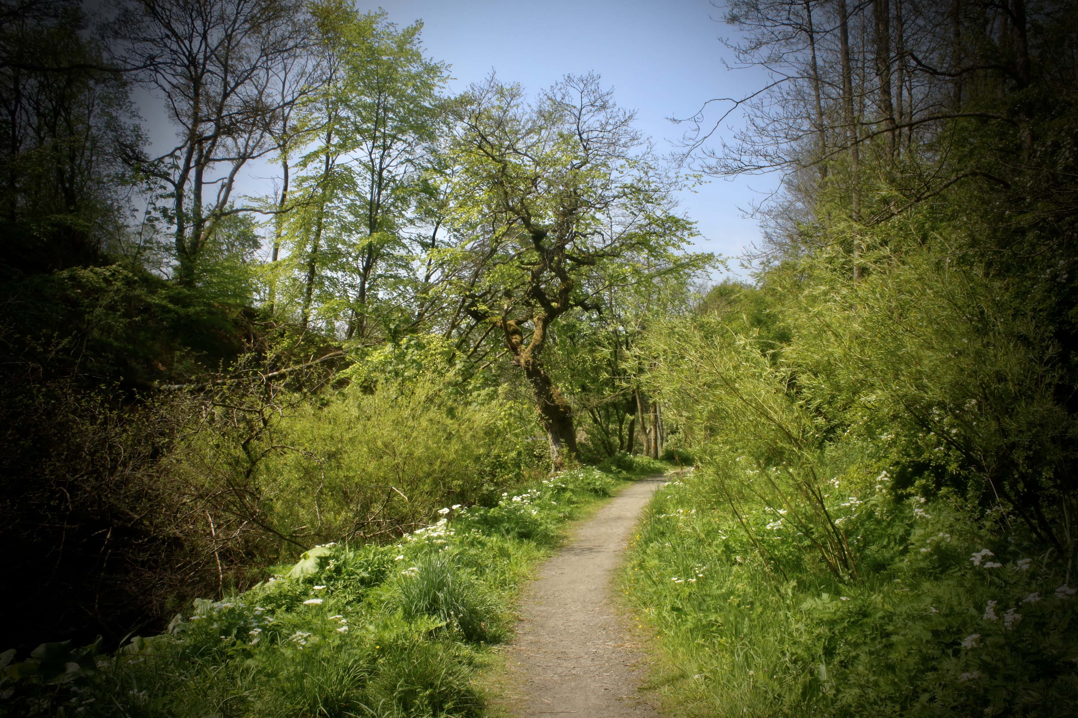 Silent Sunday Mar 23
