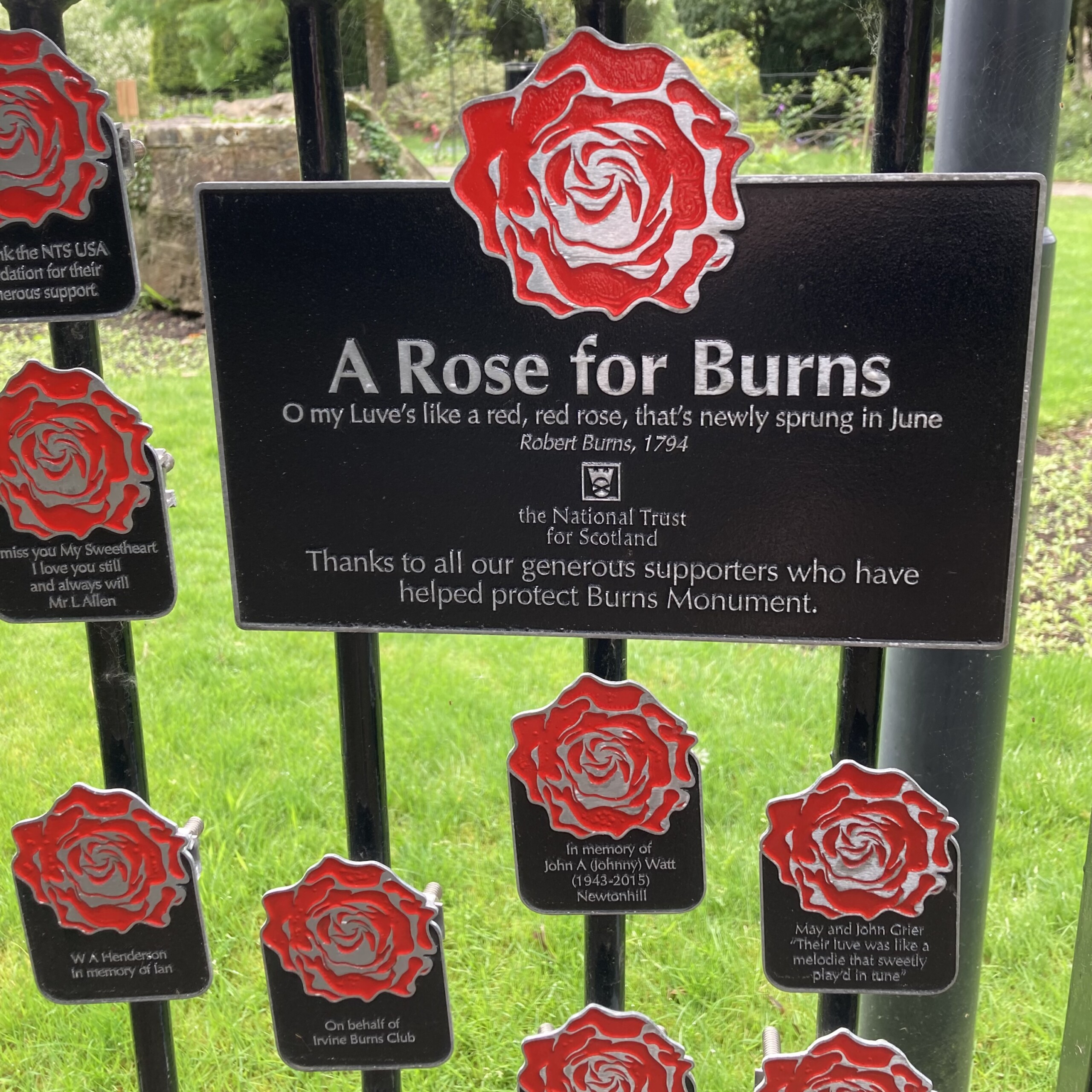 Red Roses for Burns — Simply Red